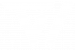 Trainwise-Logo-White